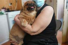 224925598_810460329658328_4328830382051078898_n