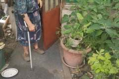 240819510_1263435790765550_7199163073376354390_n